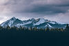 Mountains behind the forest_edited.jpg